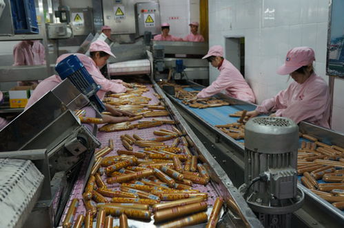绥化市望奎县双汇北大荒年加工肉制品超万吨